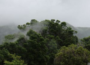 Terceira